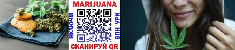 mega как зайти  Багратионовск  Cannafood конопля 