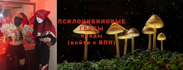 мдпв Дмитриев