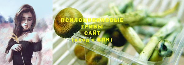 spice Армянск