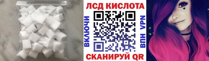 сайты даркнета телеграм  Багратионовск  Лсд 25 экстази кислота  где продают   KRAKEN онион 