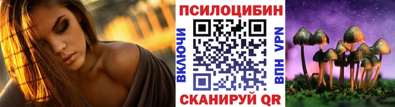 Псилоцибиновые грибы прущие грибы  KRAKEN   Багратионовск 